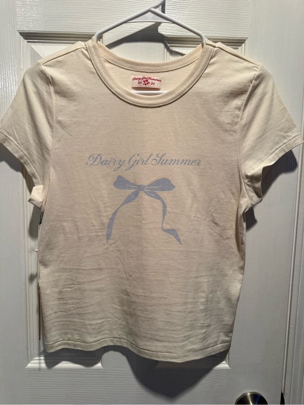 Dairy Boy “Dairy Girl Summer 2024” Graphic Tee – Size Large – NWT